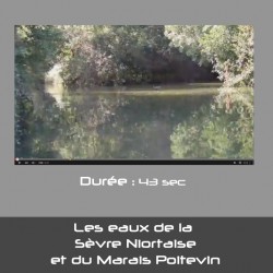 Les eaux de la  Sèvre Niortaise et du Marais Poitevin