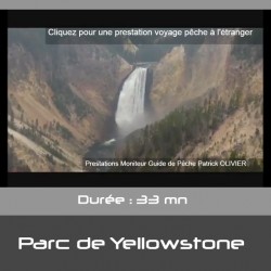 Parc de Yellowstone