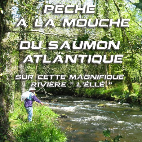 Pêche à la mouche du Saumon Atlantique sur cette magnifique rivière " L'Éllé "