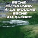 Pêche du saumon à la mouche sèche au Québec